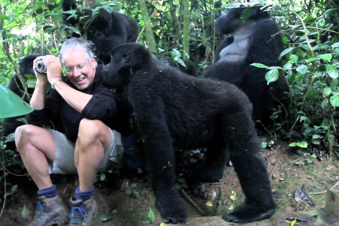 GORILLA HABITUATION EXPERIENCE