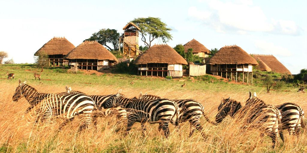 Africa Safaris and Tours